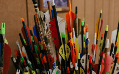 Πώς να Επιλέξετε το Σωστό Βέλος