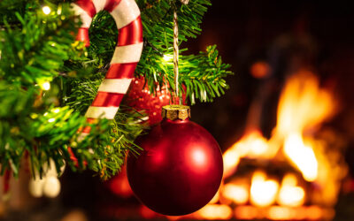 Ενημέρωση Προπονήσεων για τις Εορτές των Χριστουγέννων & Πρωτοχρονιάς